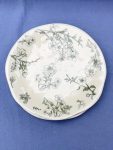 1pc (8-Inch Ceramic Shallow Plate) Artistic Plant Line Drawing Off-White Ceramic Dinner Plate, with a Size of 8.07inch Suitable for Home-Cooked Dishes, Salads, Pasta, Pizza, Steak, Chicken, Desserts